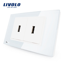 Manufacturer Livolo US Standard Socket Crystal Glass USB Electrical socket Wall Mounted Outlet 110-220V VL-C392USB-81